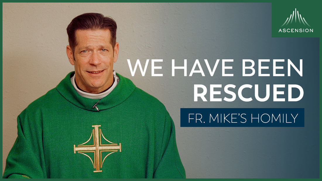 Otherwise| 33rd Sunday in Ordinary Time (Fr. Mike's Homily)
