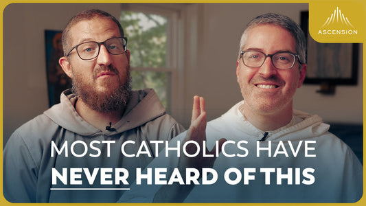 The 500-Year Old Rosary Secret You’ve Never Heard of (Confraternity of the Rosary Explained)