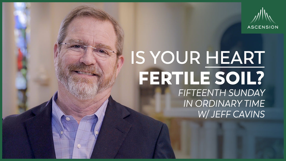 Fifteenth Sunday: The Parable of the Seeds