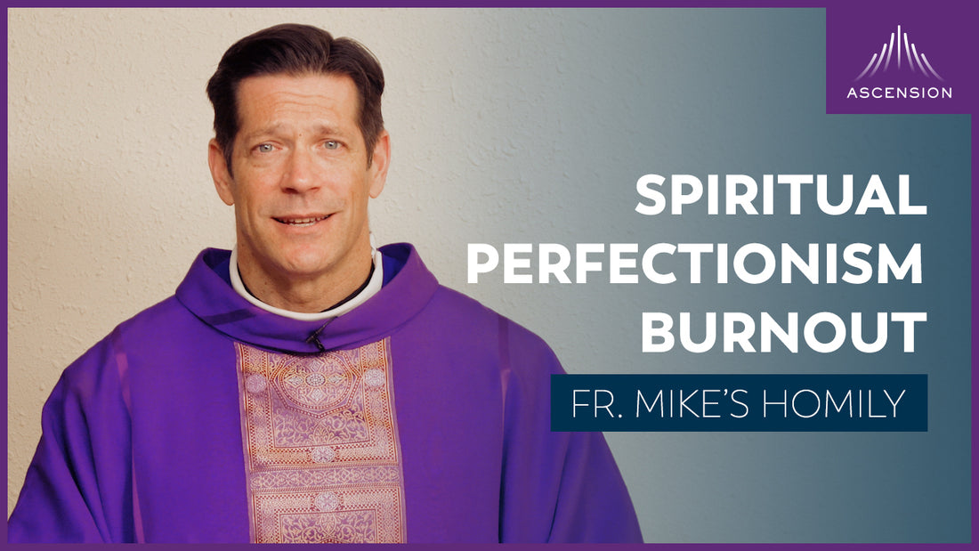 Main Character: Perfect | The Second Sunday of Advent (Fr. Mike's Homily)