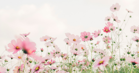 God’s Plan for Your Fertility (with Jamie Rathjen)
