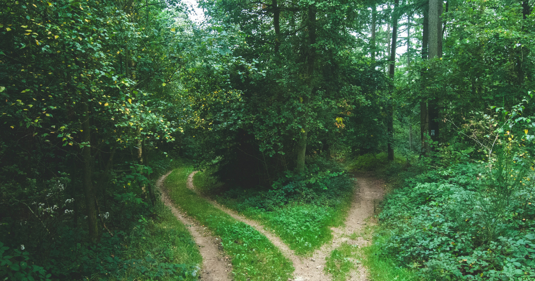 How to Make a Big Decision