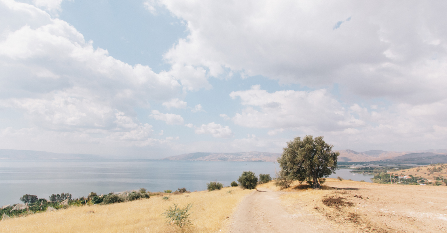 The Beatitudes and Human Flourishing