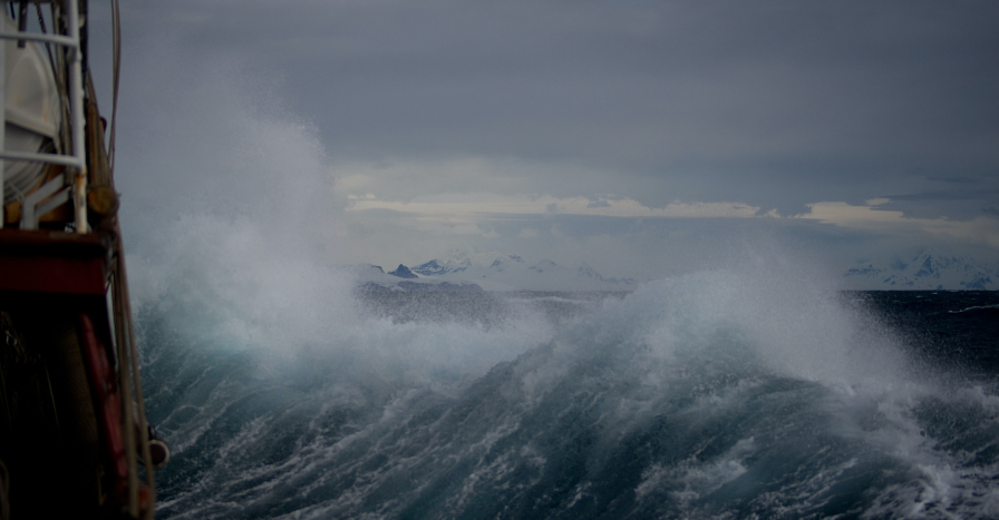 The School of Trust During Stormy Seas