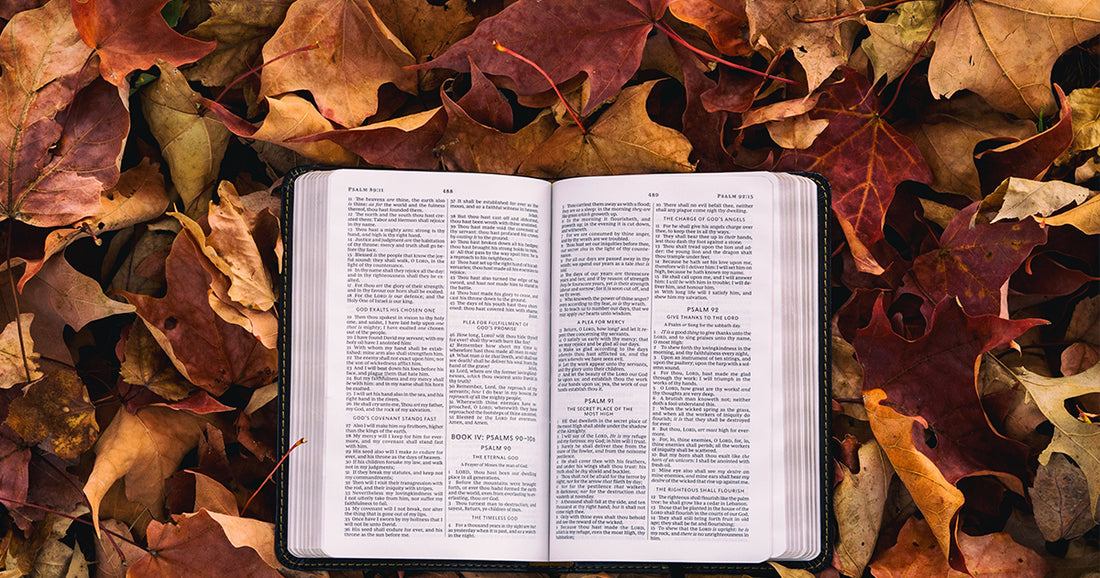 10 Principles of Evangelization
