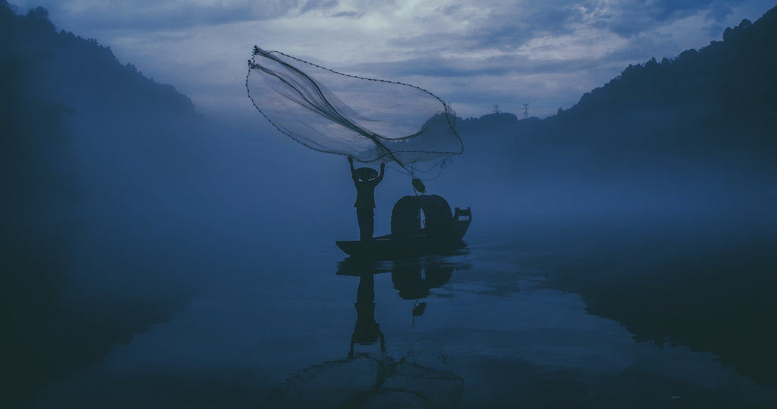 Putting out Our Nets