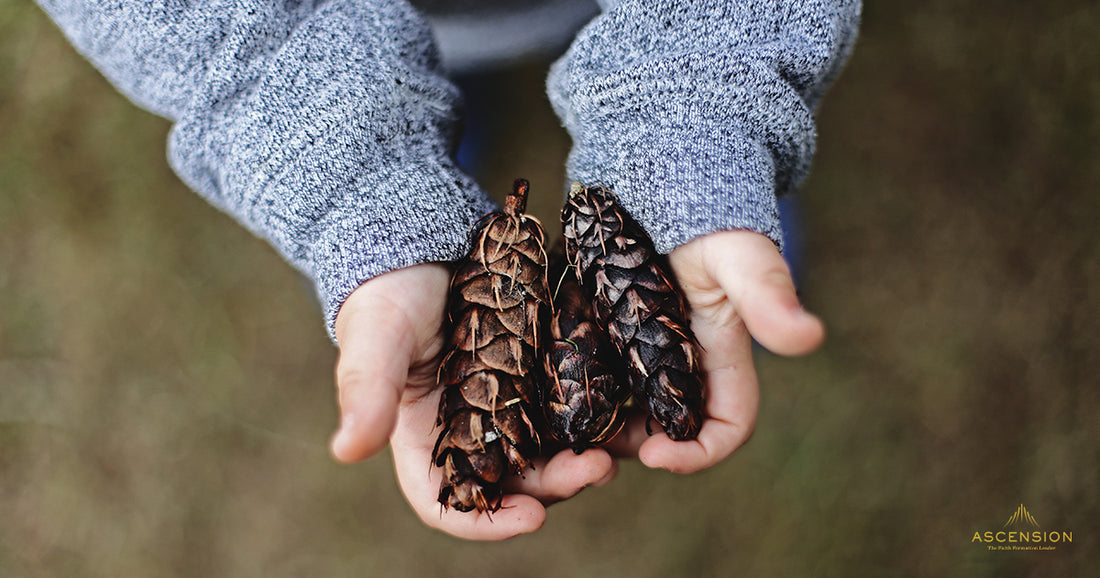 child giving pinecones