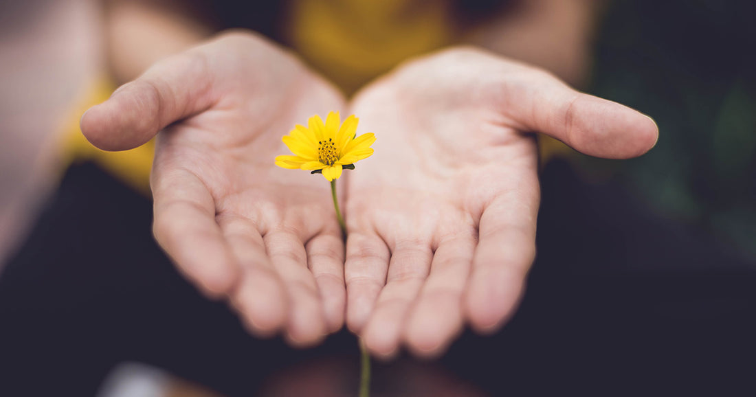 Forgiveness