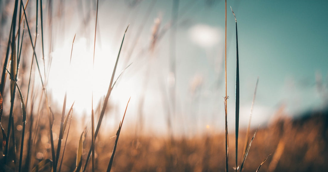 Sharing Conversion Stories with Rachel Smith