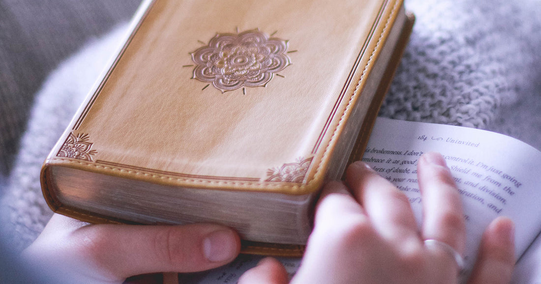 Person holding a Bible