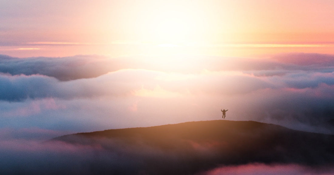 Laudato Si, Creation & Humanism