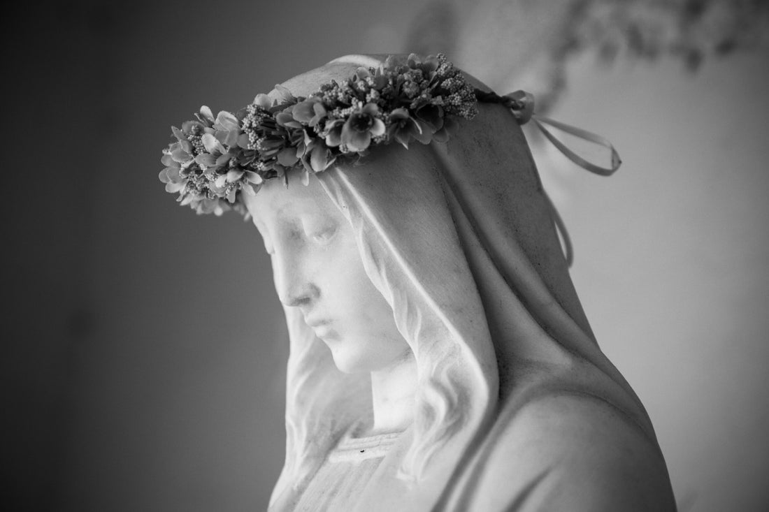 Protector of Widows: It’s Not Just a Dream