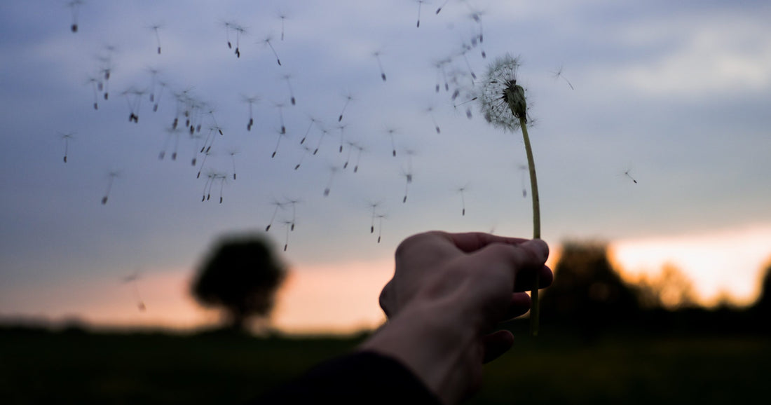 How to Be a Countercultural, Courageous, Contagious Catholic