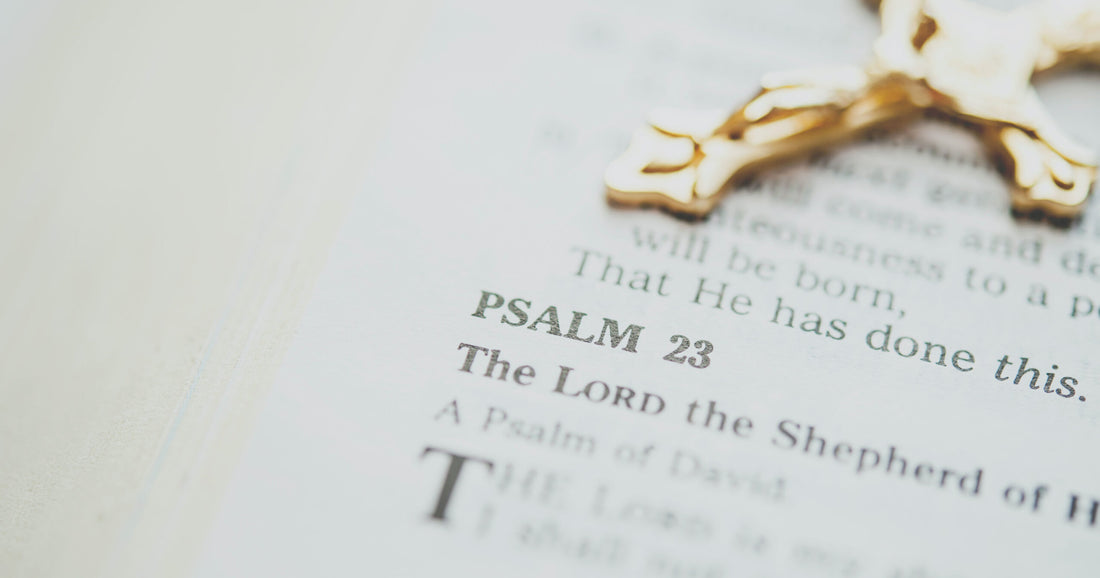 Scripture and Tradition: The Story and the Life