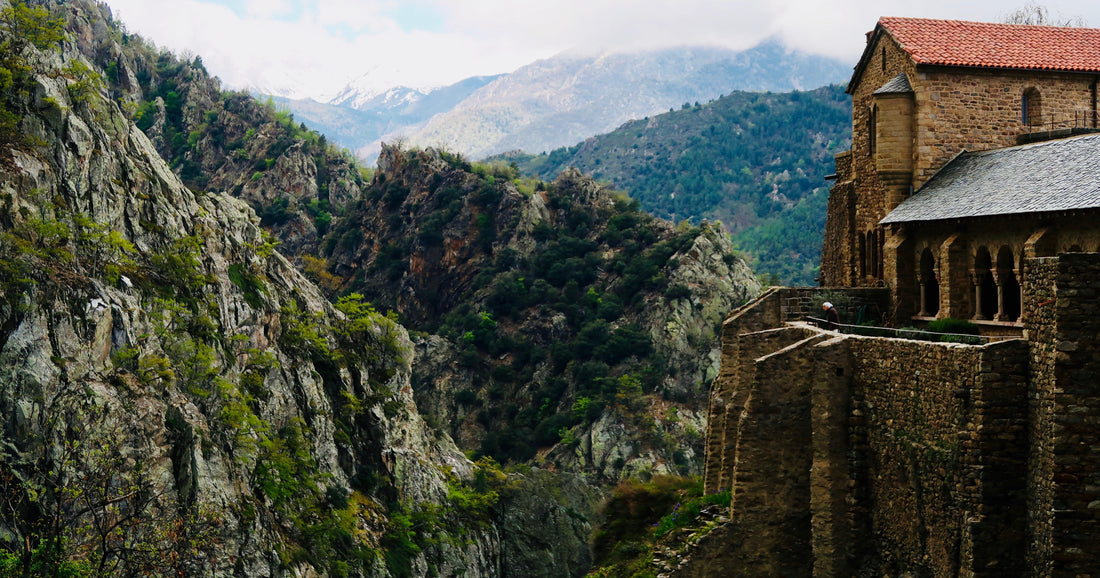 6 Catholic Orders that Shaped Monasticism