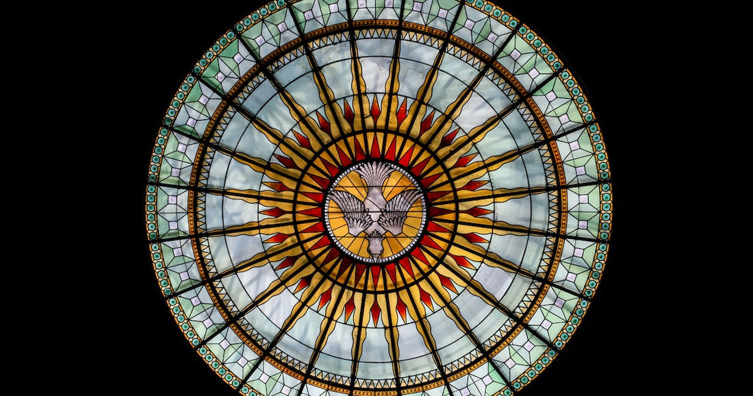 A New Field Guide to Confirmation (with Colin MacIver)