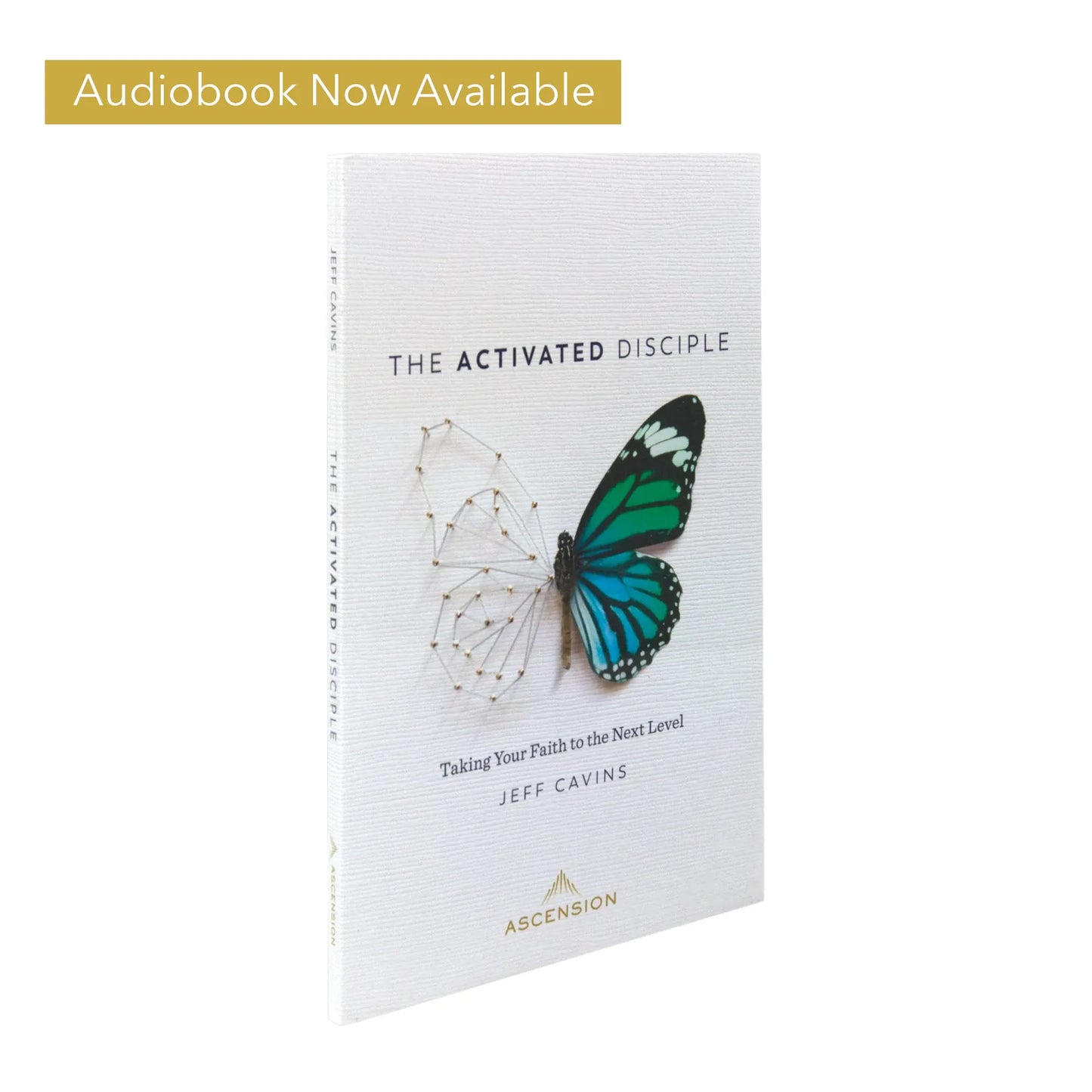 The Activated Disciple: Taking Your Faith to the Next Level