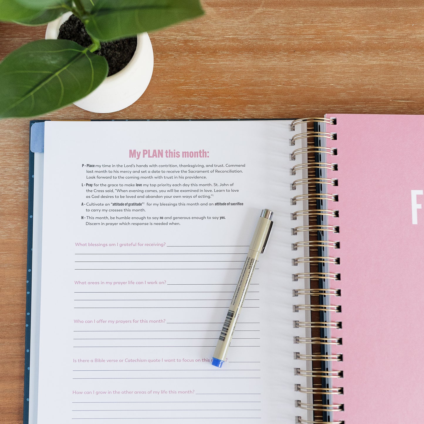 Ascension Planner 2026: A Tool for Catholic Daily Living