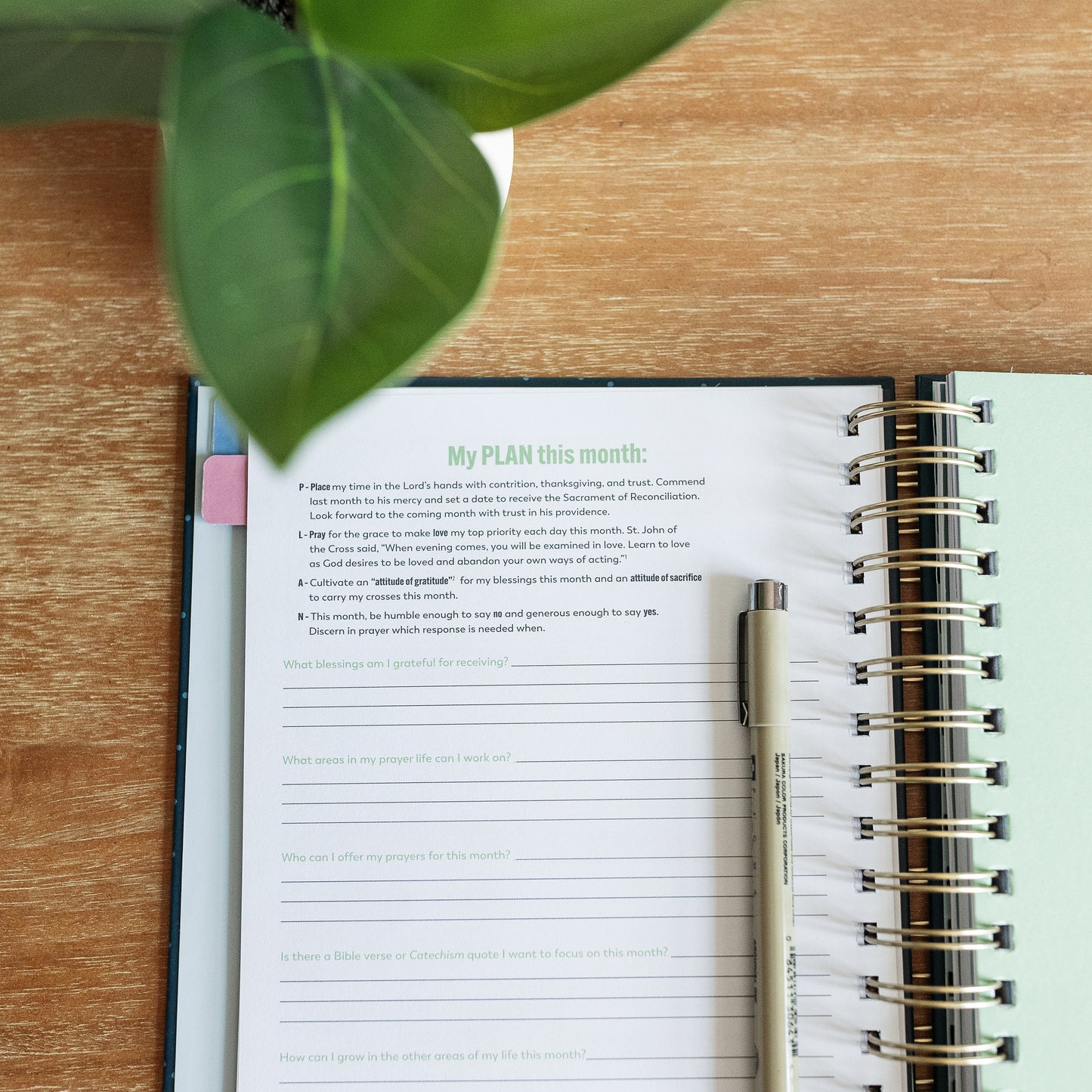Ascension Planner 2026: A Tool for Catholic Daily Living