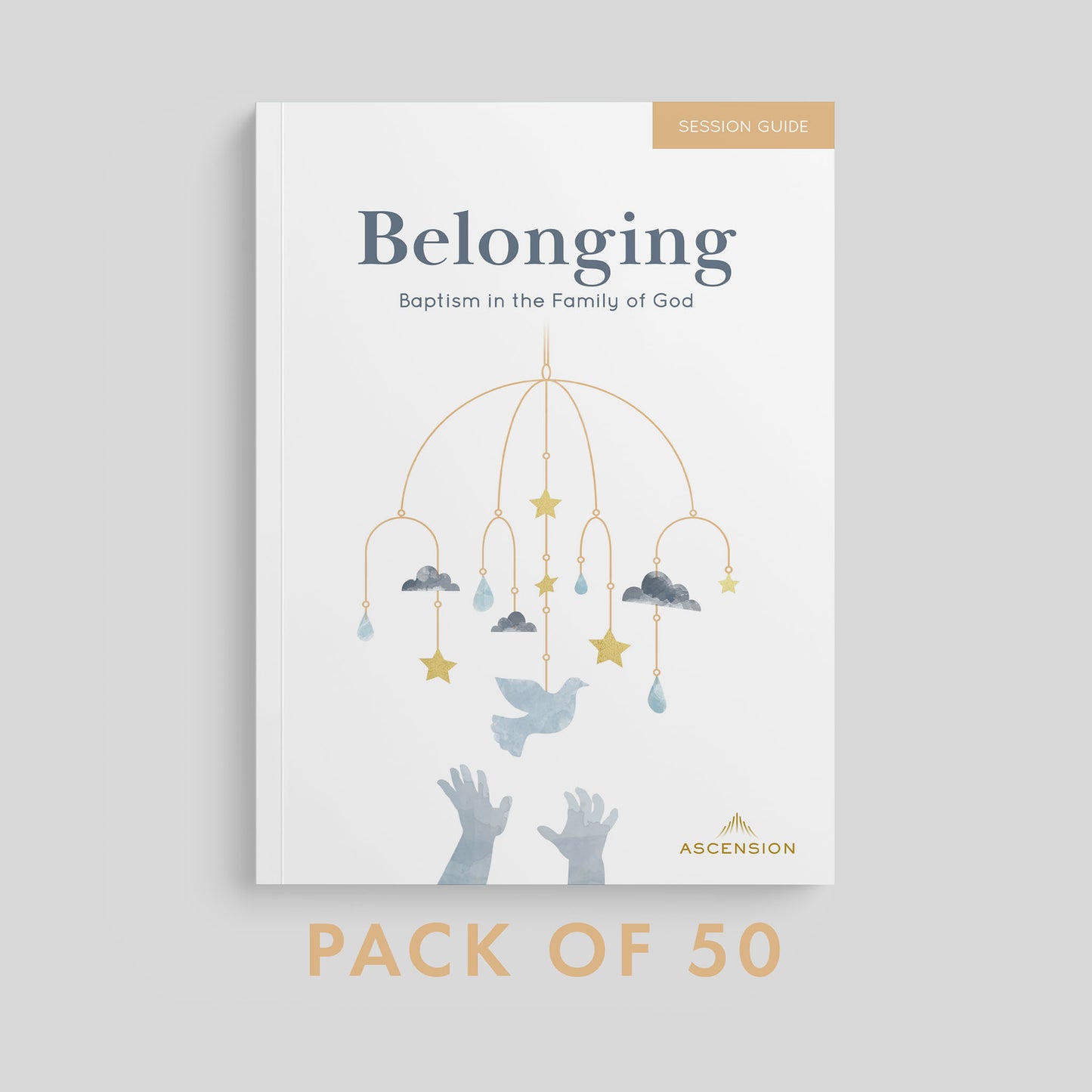 Belonging: Baptism in the Family of God, Session Guide
