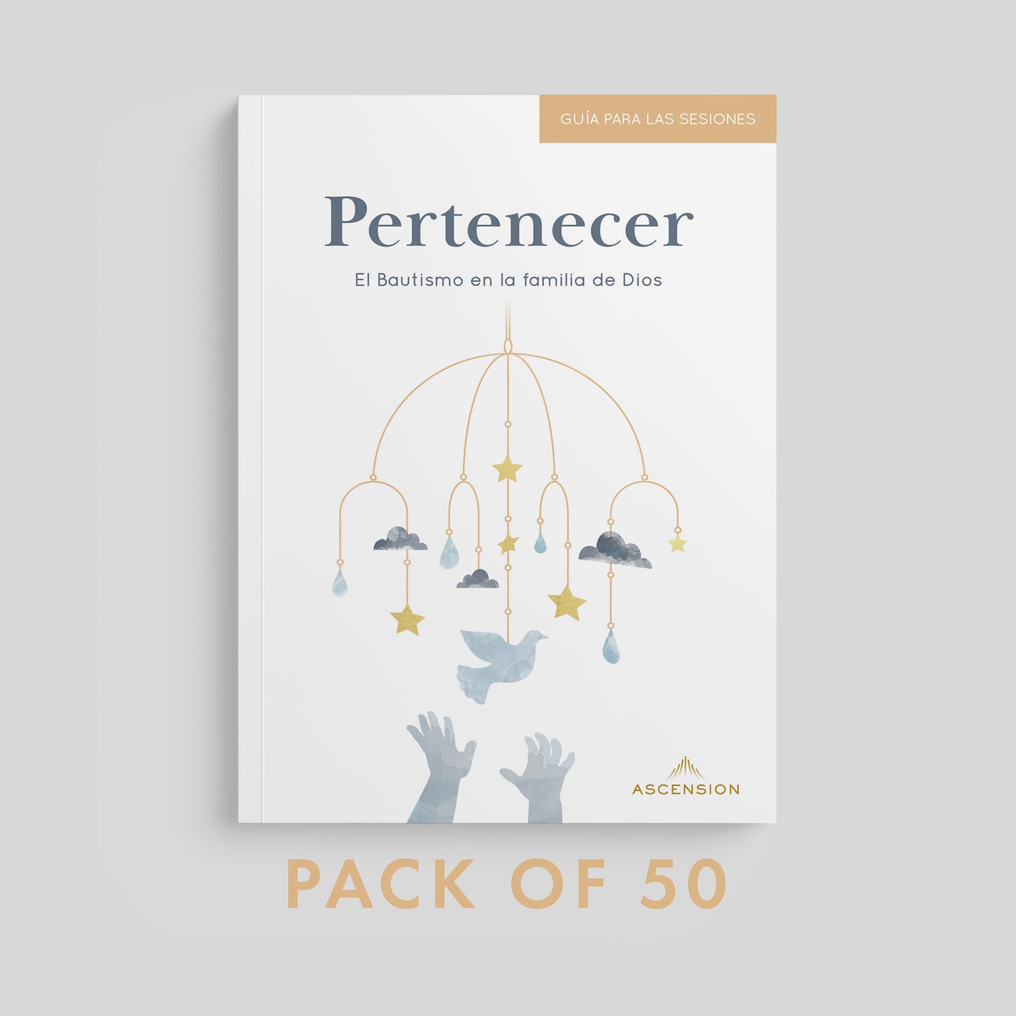 Belonging: Baptism in the Family of God, Session Guide