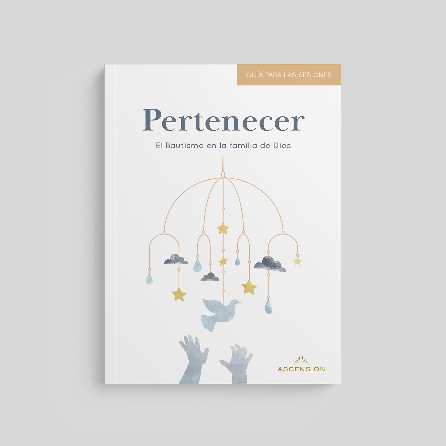 Belonging: Baptism in the Family of God, Session Guide
