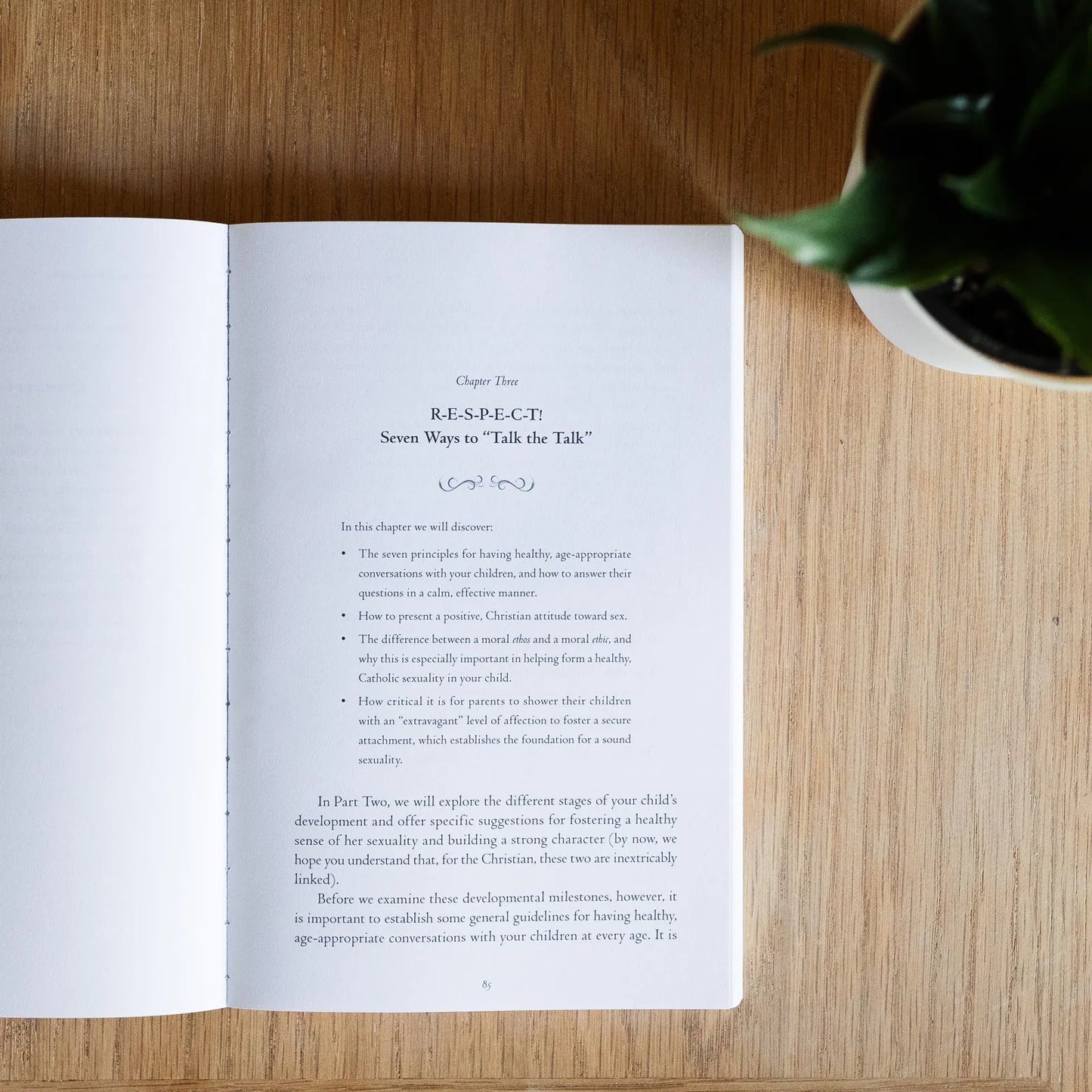 Beyond the Birds and the Bees: Raising Sexually Whole and Holy Kids