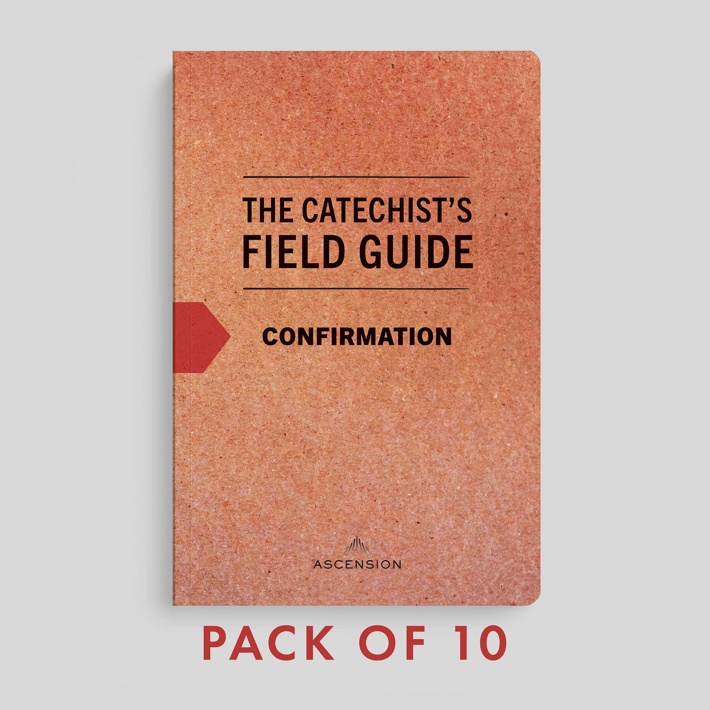 The Catechist's Field Guide to Confirmation