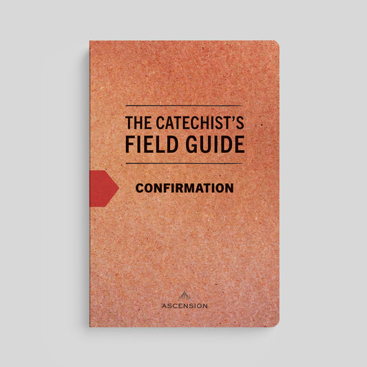 The Catechist's Field Guide to Confirmation