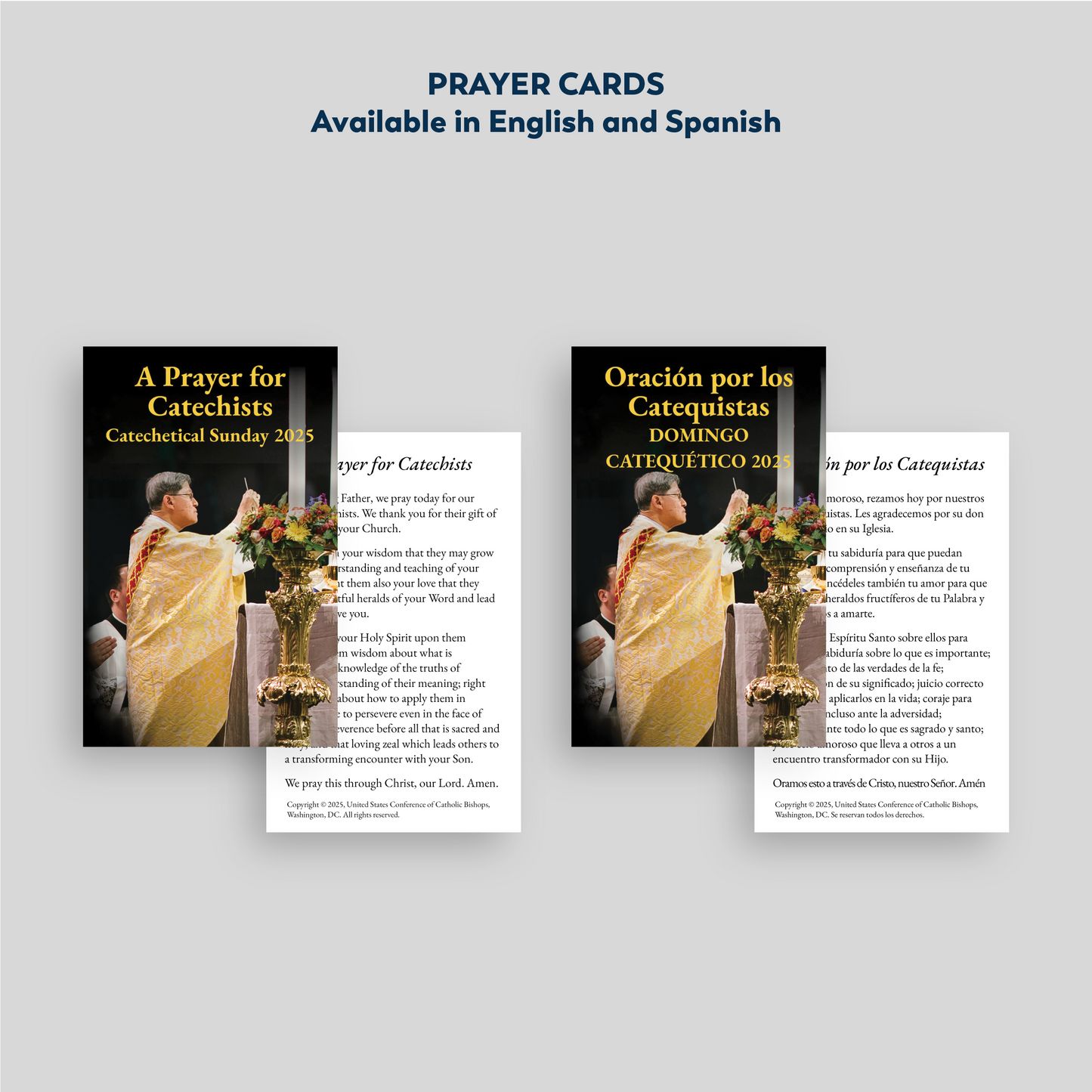 2025 Catechetical Sunday Materials