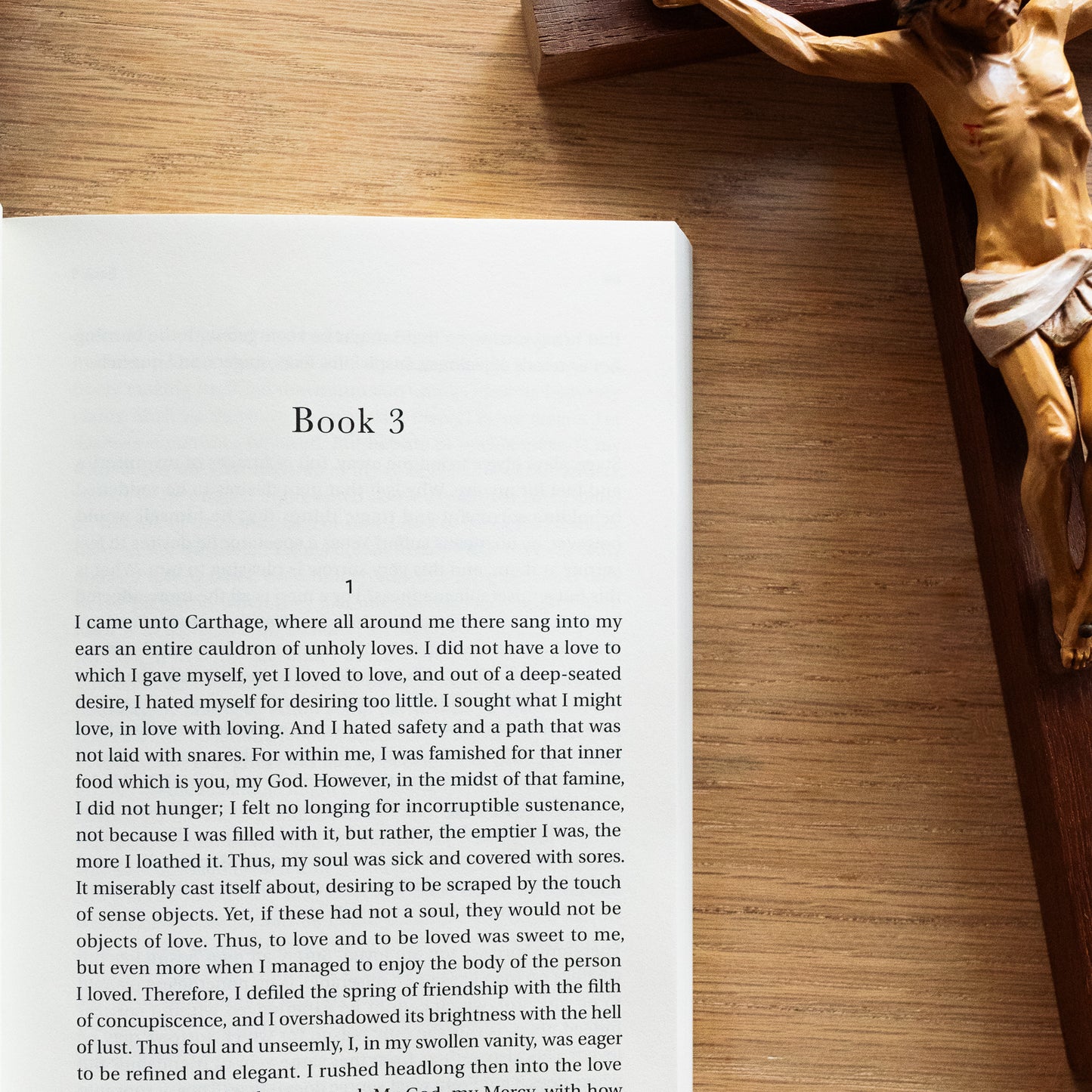 The Confessions of St. Augustine (Catholic Classics)