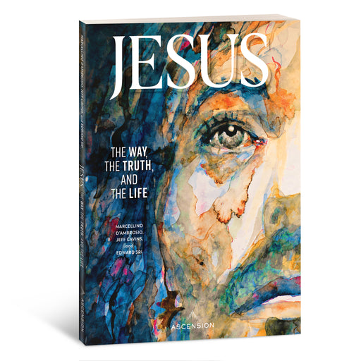 Jesus: The Way, the Truth, and the Life Workbook