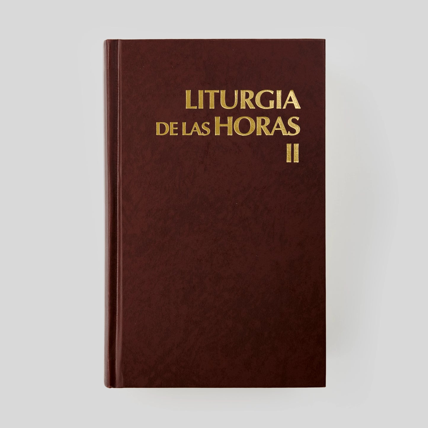 Liturgy of the Hours