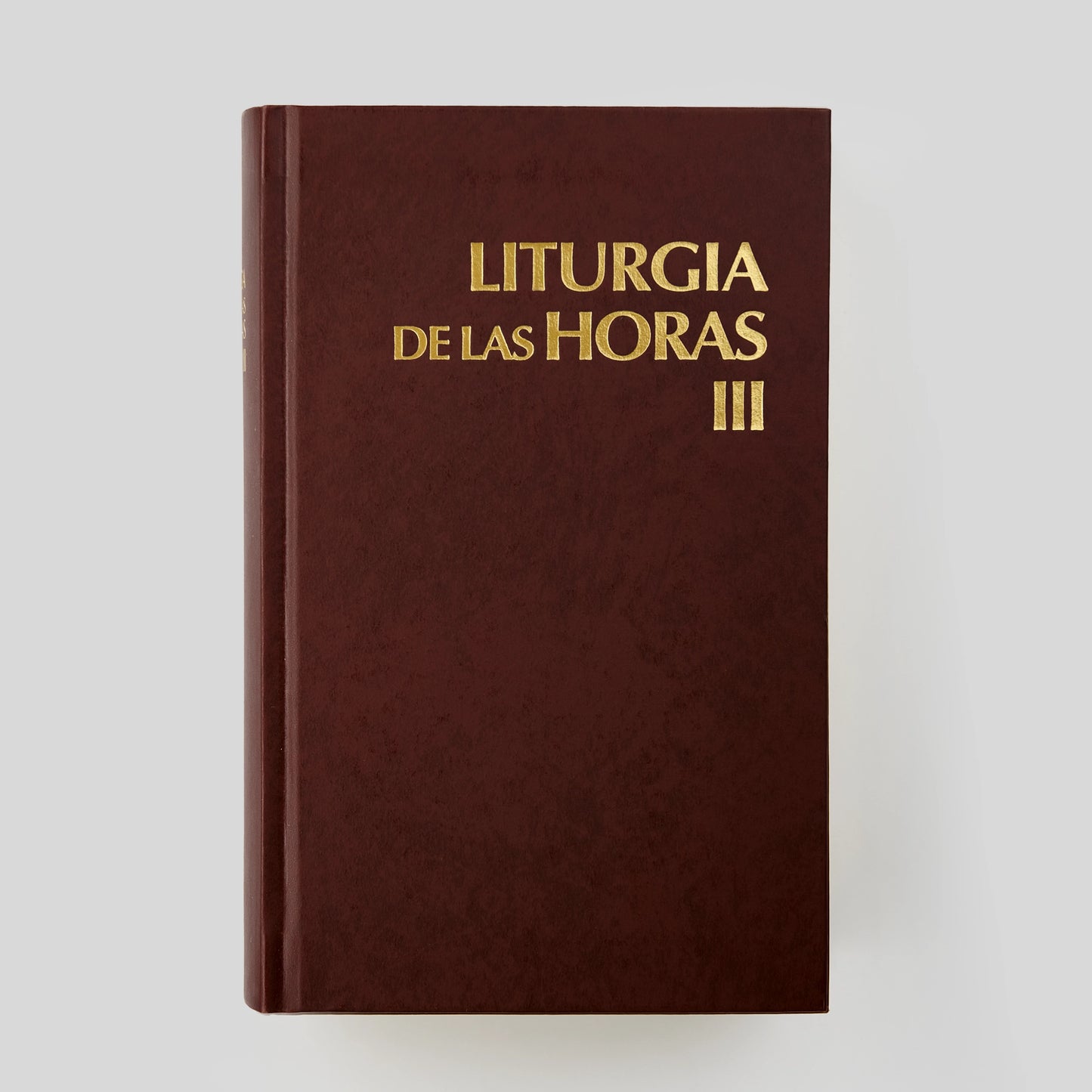 Liturgy of the Hours