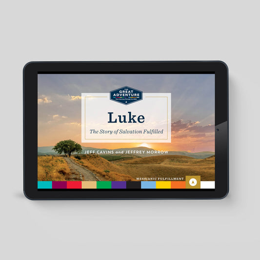 Luke: The Story of Salvation Fulfilled, Online Access