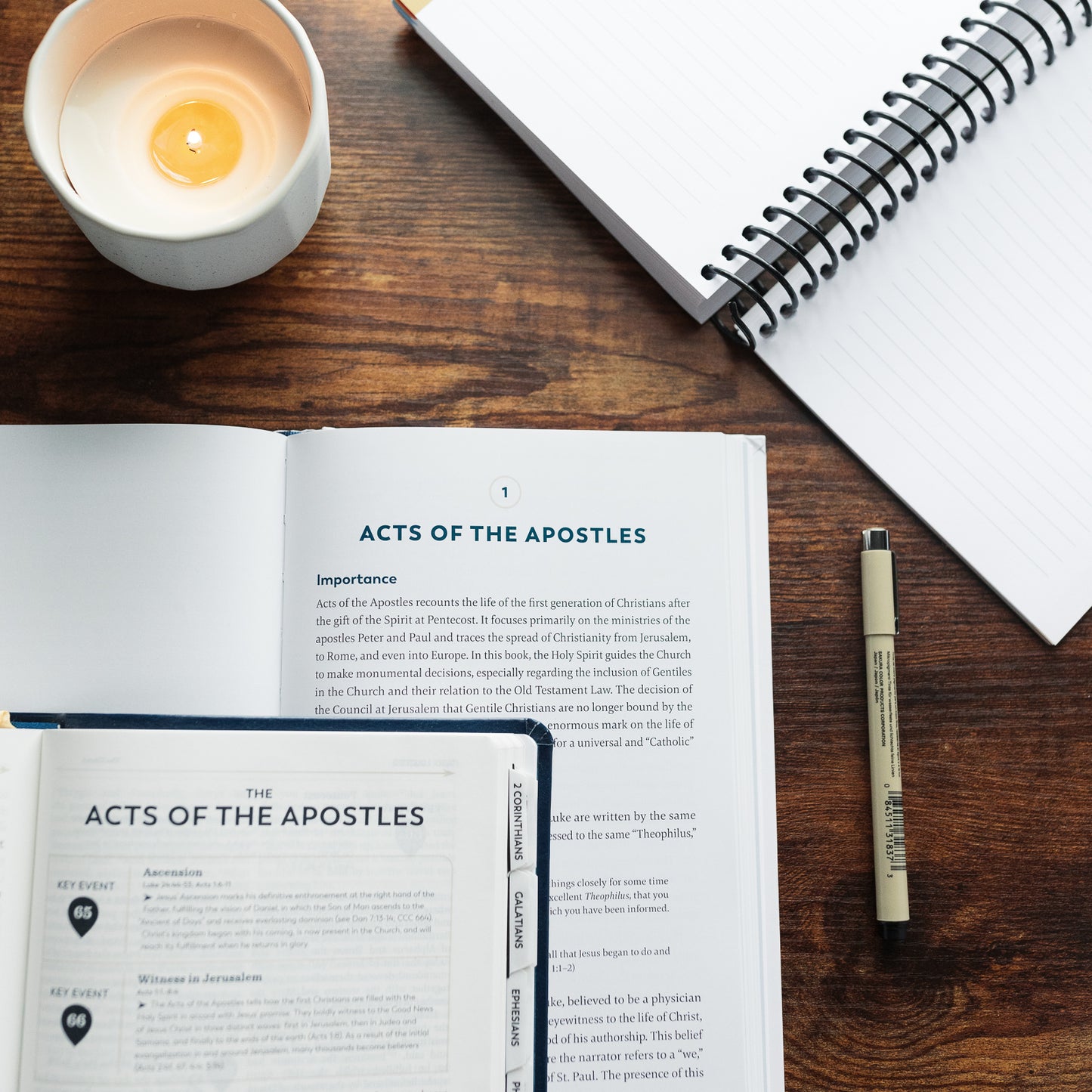 A Catholic Guide to the New Testament