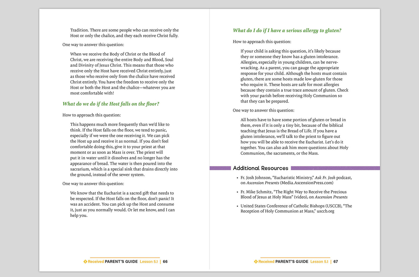 Received: Your Journey to First Communion Parent's Guide