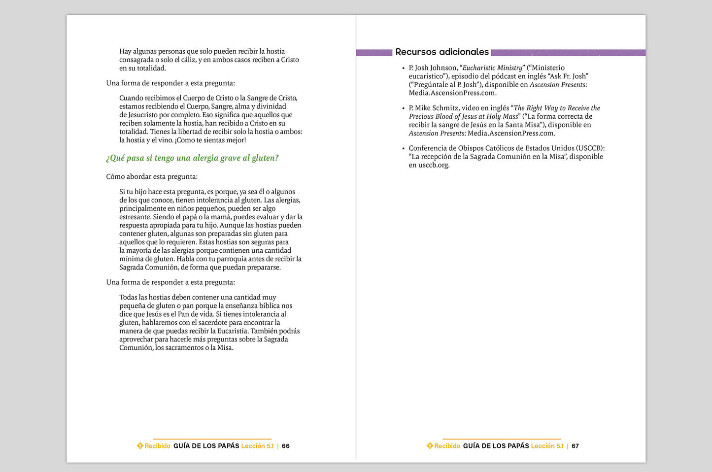 Received: Your Journey to First Communion Parent's Guide