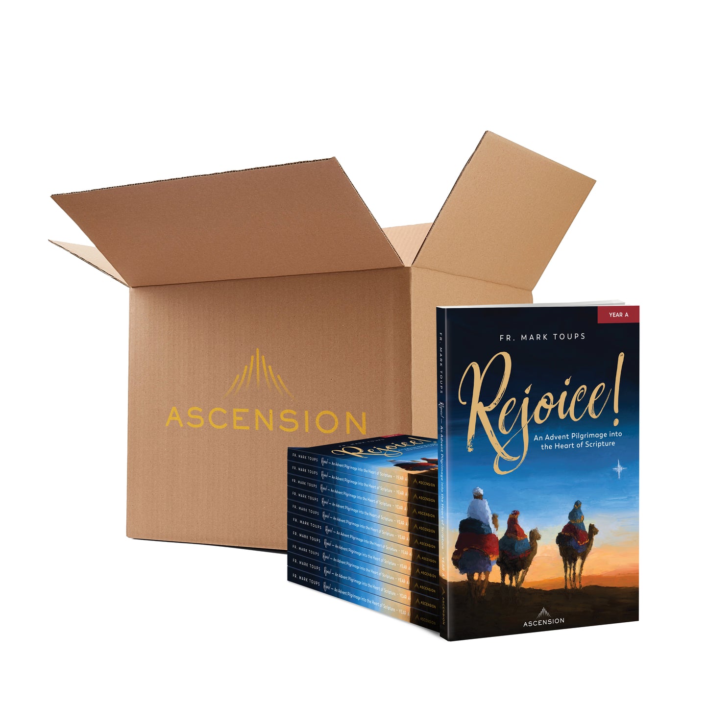 Rejoice! An Advent Pilgrimage into the Heart of Scripture: Year A, Journal