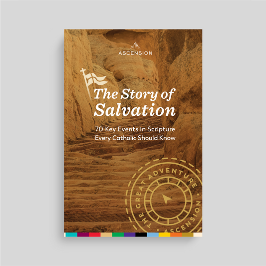 The Story of Salvation: 70 Key Events in Scripture Every Catholic Should Know