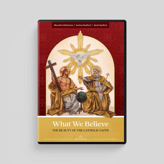 What We Believe: The Beauty of the Catholic Faith, DVD Set