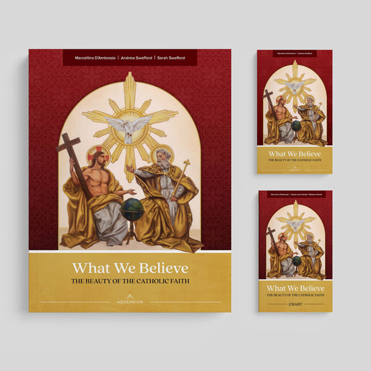 What We Believe: The Beauty of the Catholic Faith, Study Set