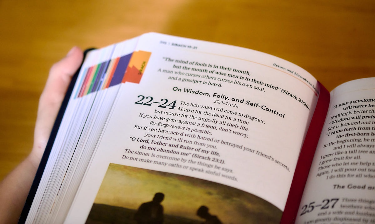The Great Adventure Catholic Bible for Beginners