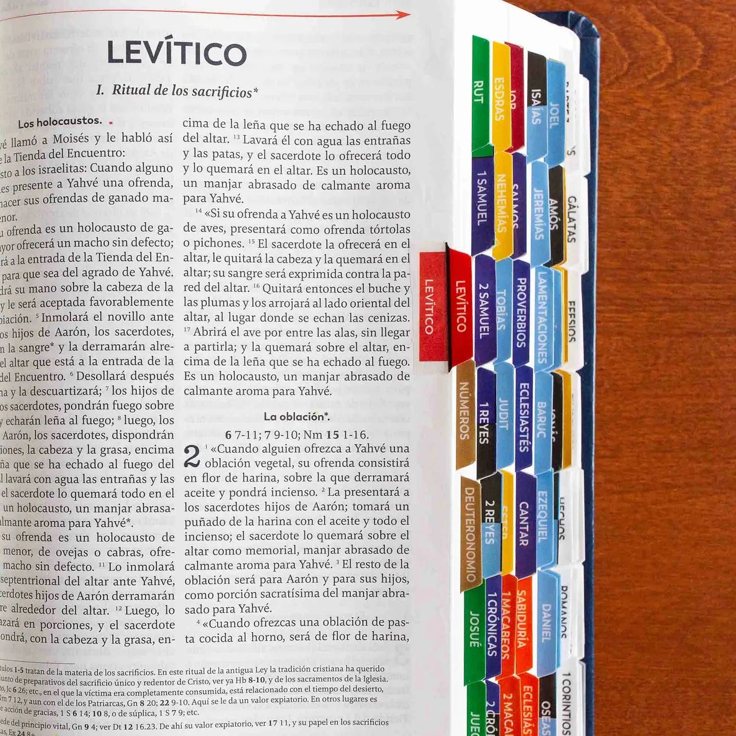 The Great Adventure Catholic Bible Indexing Tabs