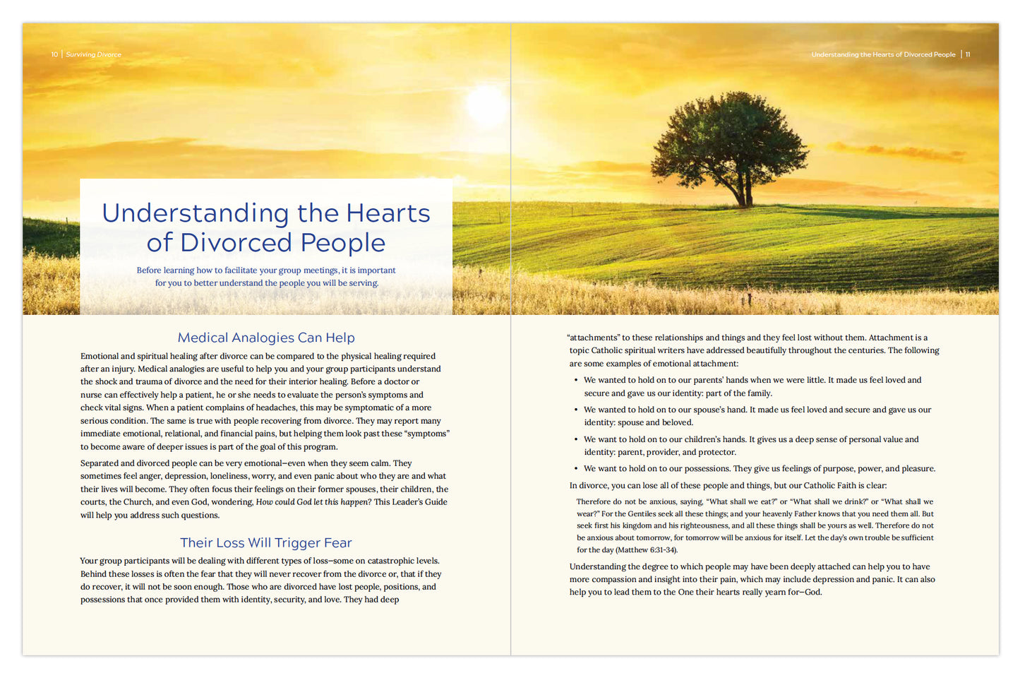 Surviving Divorce: Hope and Healing for the Catholic Family, Starter Pack