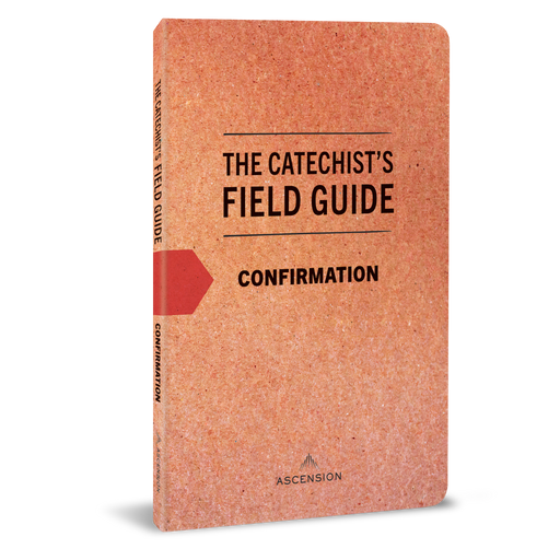 The Catechist's Field Guide to Confirmation
