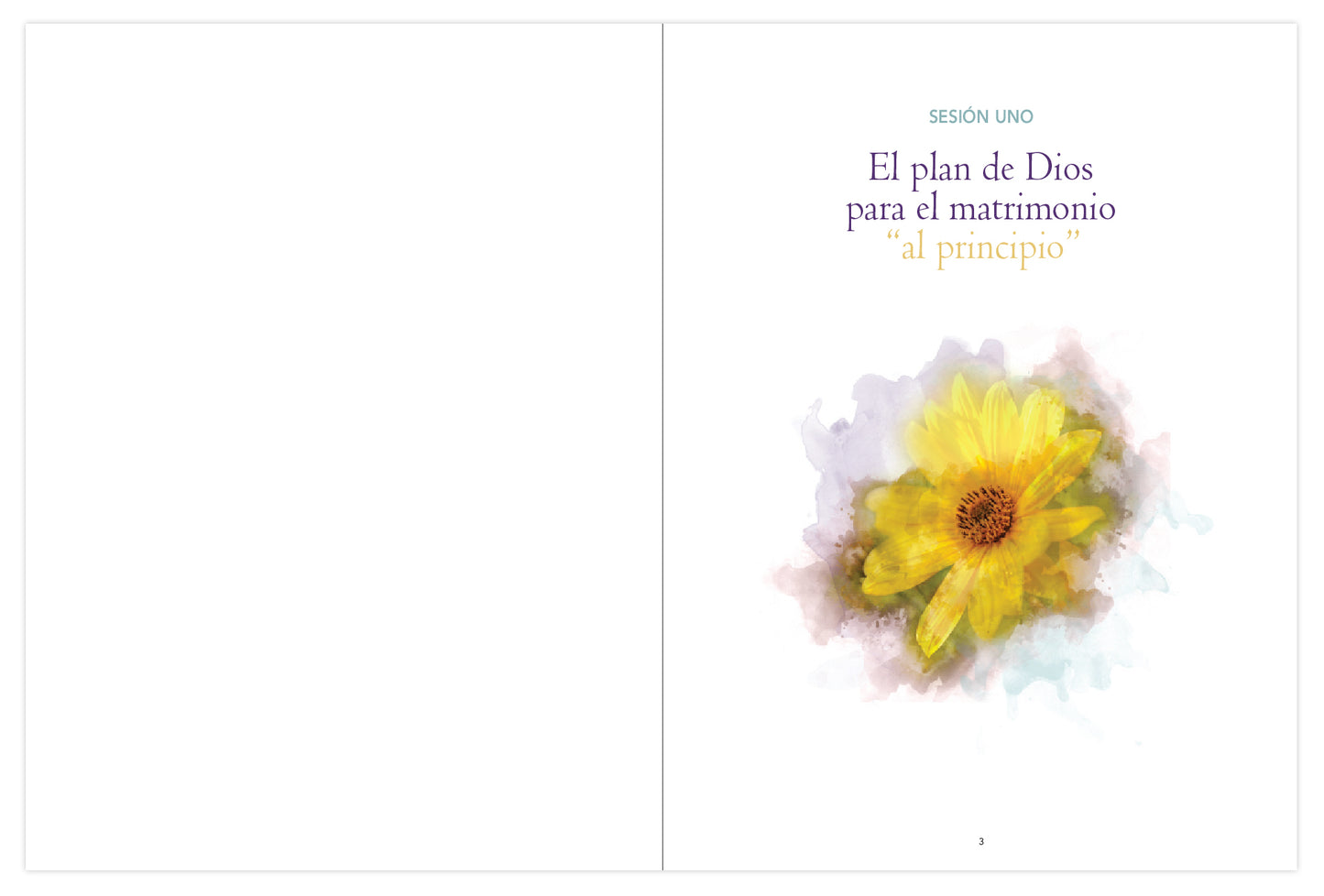 El plan de Dios para el amor, Guía de la pareja