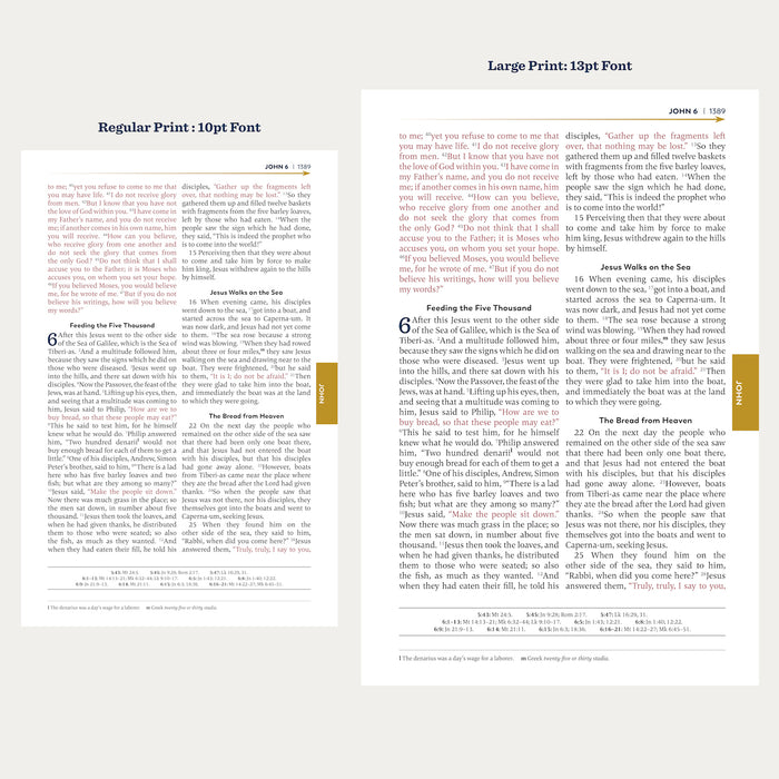 Holy Bible – The Great Adventure Catholic Bible, Large Print Version