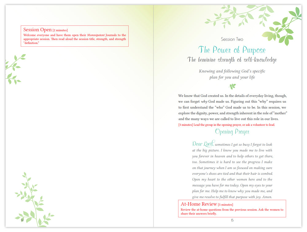 Momnipotent Leader's Set