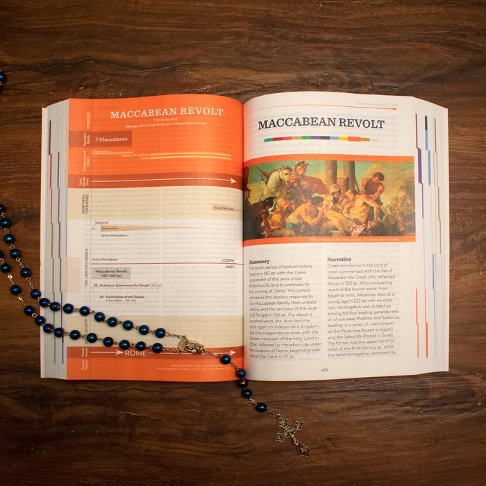 Holy Bible – The Great Adventure Catholic Bible, Paperback Edition